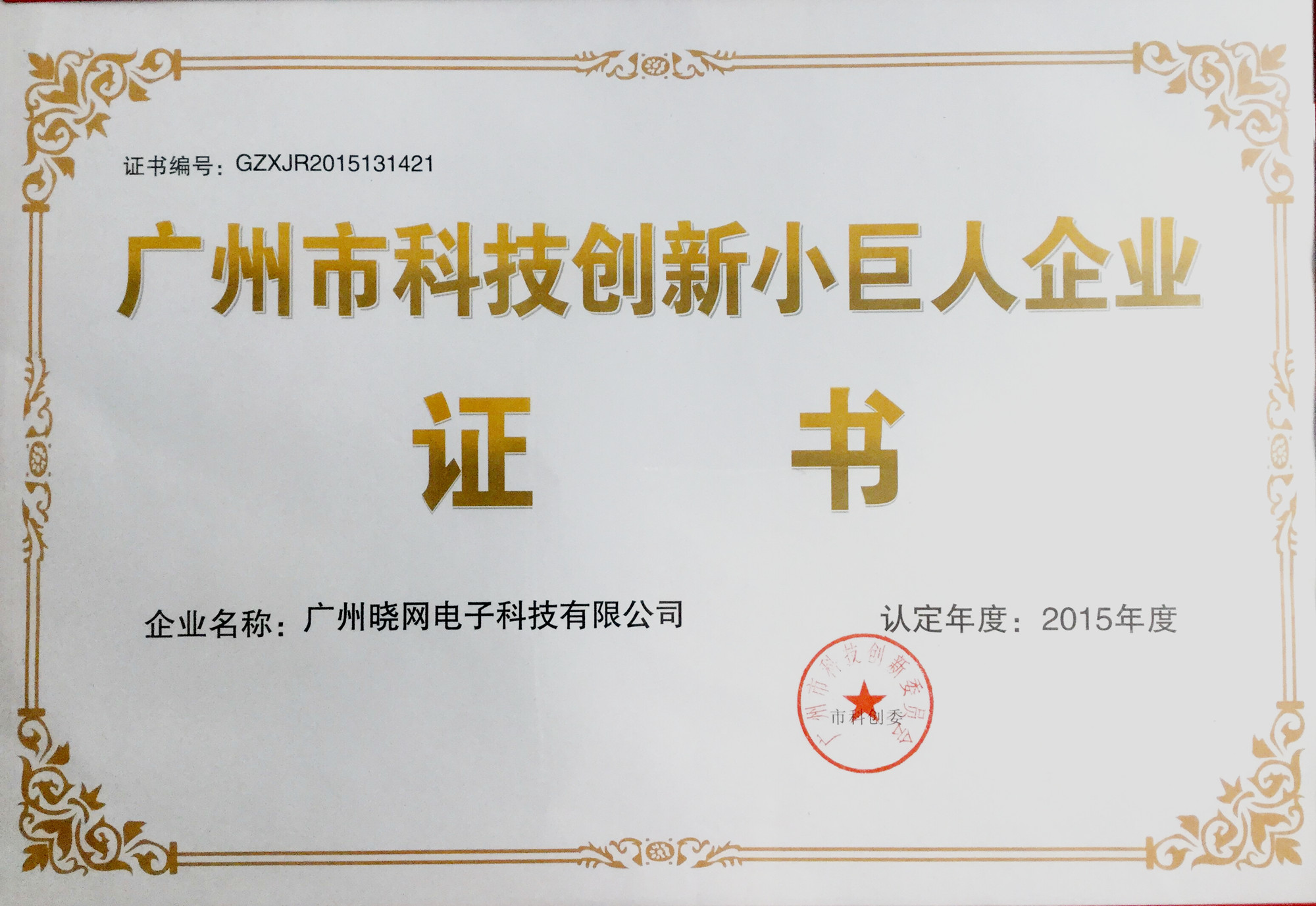 8.13.晓网科技创新小巨人证书